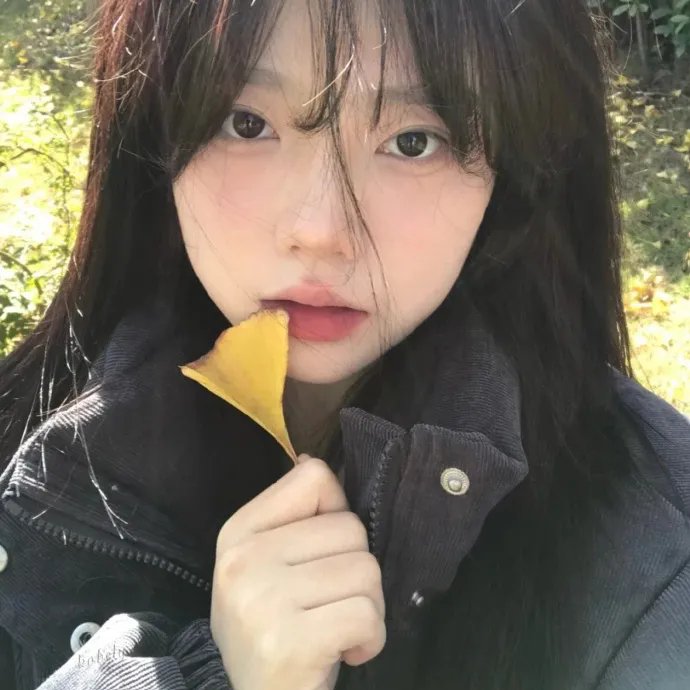 熊出没之年货